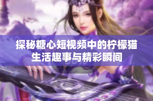 探秘糖心短视频中的柠檬猫生活趣事与精彩瞬间