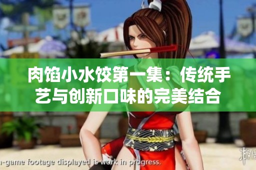 肉馅小水饺第一集：传统手艺与创新口味的完美结合