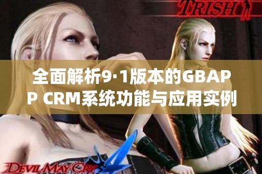 全面解析9·1版本的GBAPP CRM系统功能与应用实例