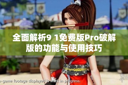 全面解析9 1免费版Pro破解版的功能与使用技巧