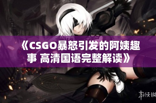 《CSGO暴怒引发的阿姨趣事 高清国语完整解读》