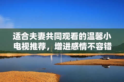 适合夫妻共同观看的温馨小电视推荐，增进感情不容错过