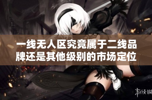 一线无人区究竟属于二线品牌还是其他级别的市场定位