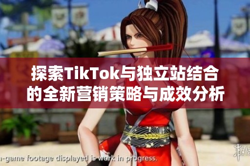 探索TikTok与独立站结合的全新营销策略与成效分析