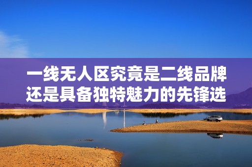 一线无人区究竟是二线品牌还是具备独特魅力的先锋选择