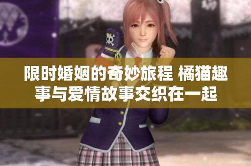 限时婚姻的奇妙旅程 橘猫趣事与爱情故事交织在一起