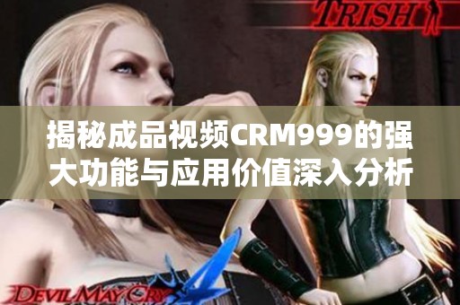 揭秘成品视频CRM999的强大功能与应用价值深入分析