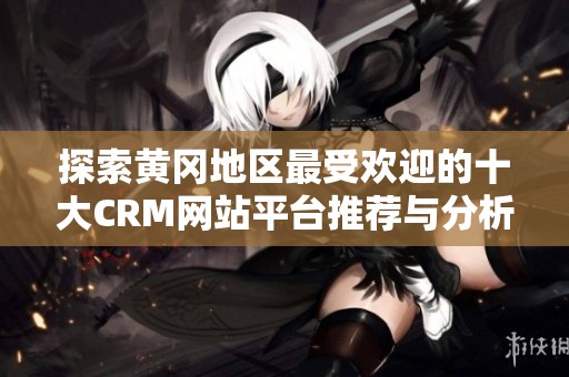 探索黄冈地区最受欢迎的十大CRM网站平台推荐与分析