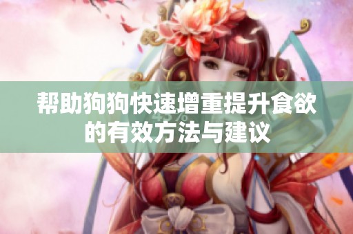 帮助狗狗快速增重提升食欲的有效方法与建议