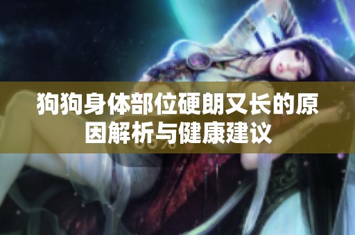 狗狗身体部位硬朗又长的原因解析与健康建议