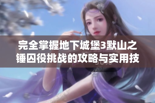 完全掌握地下城堡3默山之锤囚役挑战的攻略与实用技巧分享