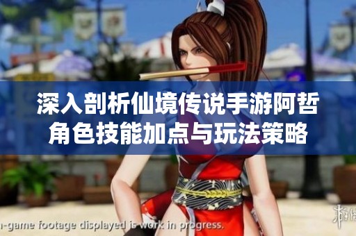 深入剖析仙境传说手游阿哲角色技能加点与玩法策略