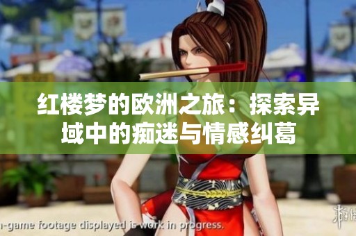 红楼梦的欧洲之旅：探索异域中的痴迷与情感纠葛