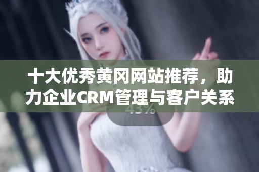 十大优秀黄冈网站推荐，助力企业CRM管理与客户关系提升