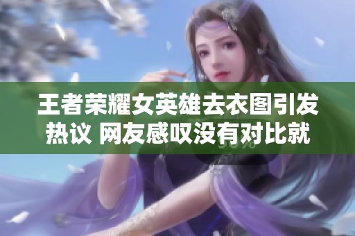王者荣耀女英雄去衣图引发热议 网友感叹没有对比就没有伤害
