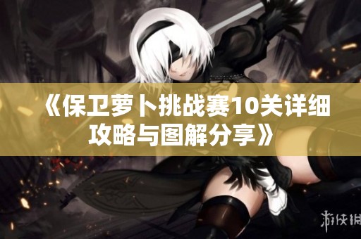 《保卫萝卜挑战赛10关详细攻略与图解分享》