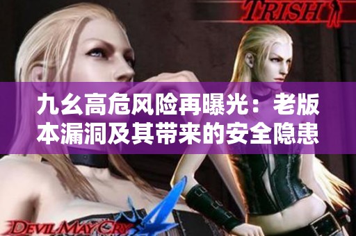 九幺高危风险再曝光：老版本漏洞及其带来的安全隐患分析
