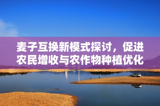 麦子互换新模式探讨，促进农民增收与农作物种植优化