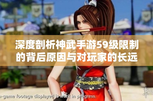 深度剖析神武手游59级限制的背后原因与对玩家的长远影响