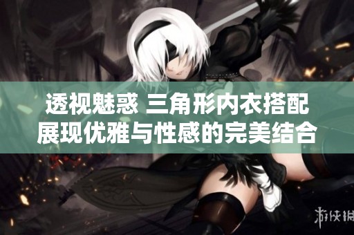 透视魅惑 三角形内衣搭配展现优雅与性感的完美结合