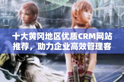十大黄冈地区优质CRM网站推荐，助力企业高效管理客户关系