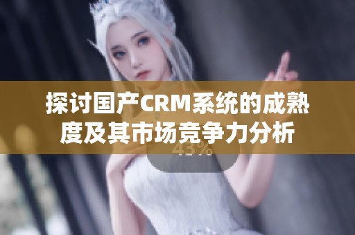探讨国产CRM系统的成熟度及其市场竞争力分析