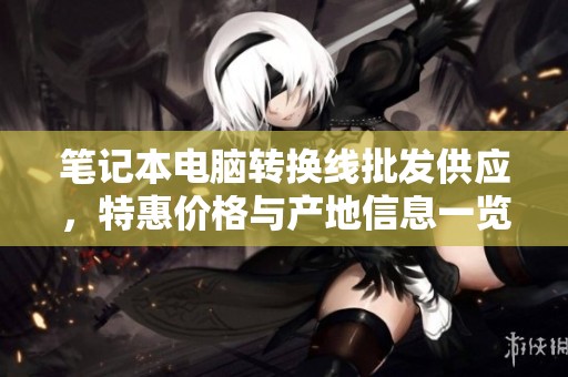 笔记本电脑转换线批发供应，特惠价格与产地信息一览