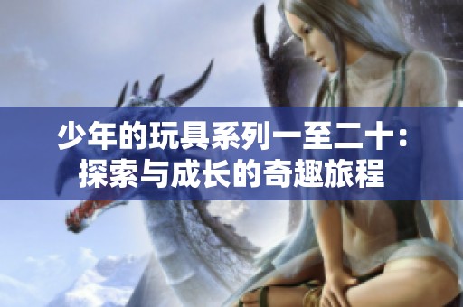 少年的玩具系列一至二十：探索与成长的奇趣旅程