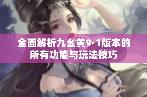 全面解析九幺黄9·1版本的所有功能与玩法技巧