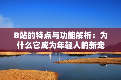 B站的特点与功能解析：为什么它成为年轻人的新宠