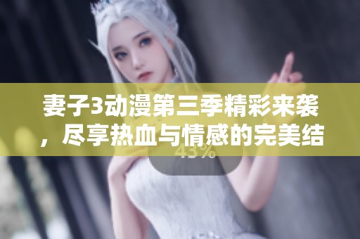 妻子3动漫第三季精彩来袭，尽享热血与情感的完美结合