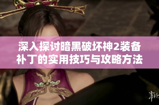 深入探讨暗黑破坏神2装备补丁的实用技巧与攻略方法分析