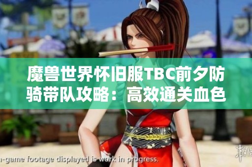 魔兽世界怀旧服TBC前夕防骑带队攻略：高效通关血色遗迹技巧分享