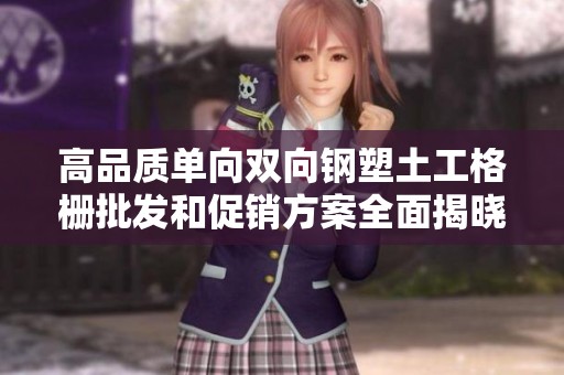 高品质单向双向钢塑土工格栅批发和促销方案全面揭晓