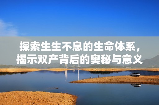 探索生生不息的生命体系，揭示双产背后的奥秘与意义