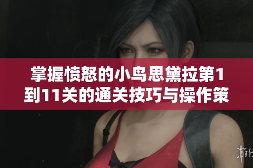 掌握愤怒的小鸟思黛拉第1到11关的通关技巧与操作策略分享