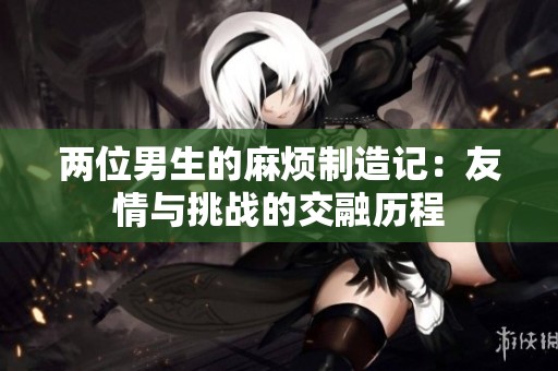 两位男生的麻烦制造记：友情与挑战的交融历程