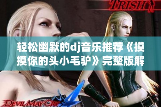 轻松幽默的dj音乐推荐《摸摸你的头小毛驴》完整版解析