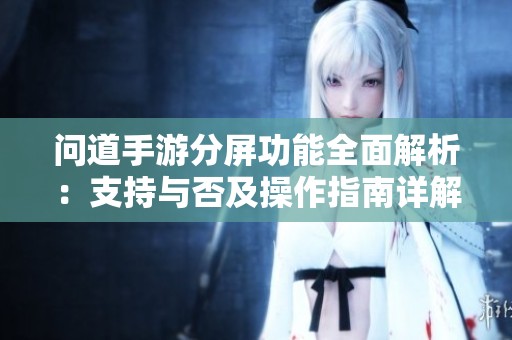 问道手游分屏功能全面解析：支持与否及操作指南详解