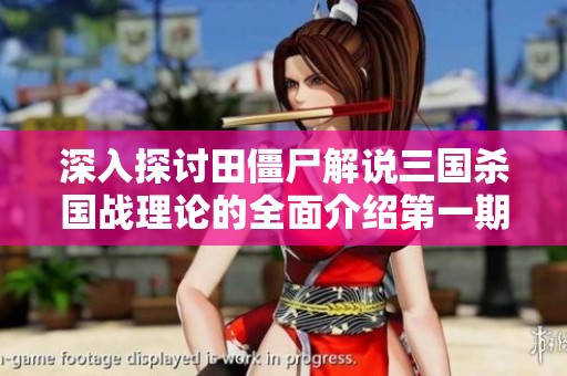 深入探讨田僵尸解说三国杀国战理论的全面介绍第一期
