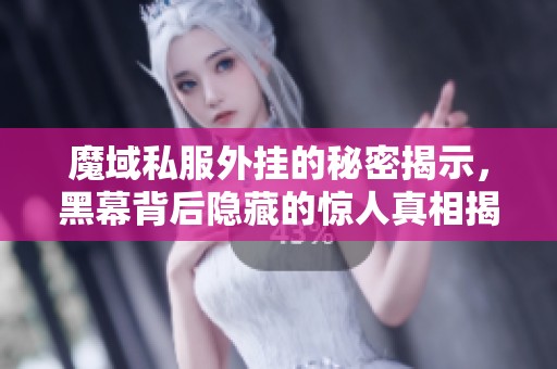 魔域私服外挂的秘密揭示，黑幕背后隐藏的惊人真相揭秘