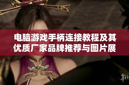 电脑游戏手柄连接教程及其优质厂家品牌推荐与图片展示