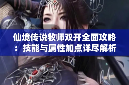 仙境传说牧师双开全面攻略：技能与属性加点详尽解析