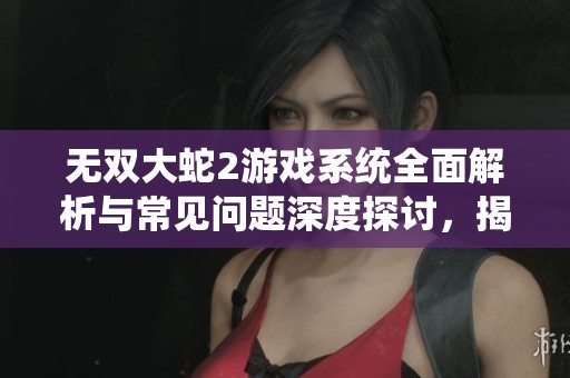 无双大蛇2游戏系统全面解析与常见问题深度探讨，揭示战斗奥秘