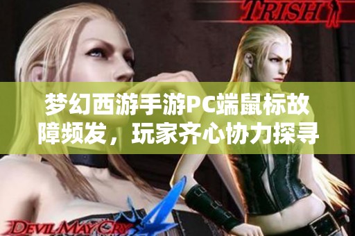 梦幻西游手游PC端鼠标故障频发，玩家齐心协力探寻解决方案