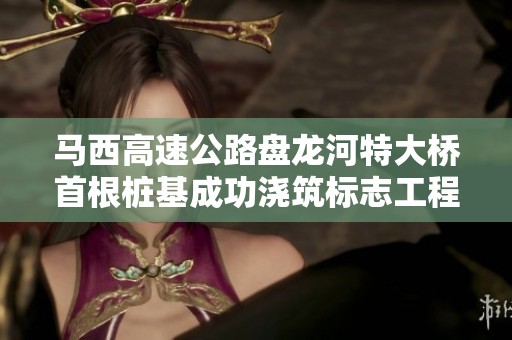 马西高速公路盘龙河特大桥首根桩基成功浇筑标志工程进展顺利