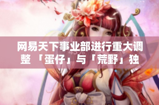 网易天下事业部进行重大调整 「蛋仔」与「荒野」独立发展新篇章