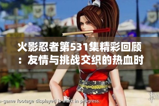 火影忍者第531集精彩回顾：友情与挑战交织的热血时刻