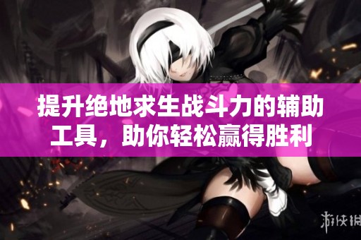 提升绝地求生战斗力的辅助工具，助你轻松赢得胜利