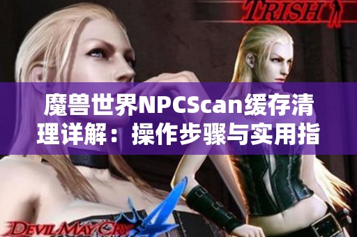魔兽世界NPCScan缓存清理详解：操作步骤与实用指南全攻略